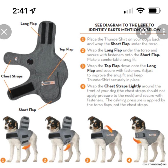 Thundershirt - Picture 3 of 3
